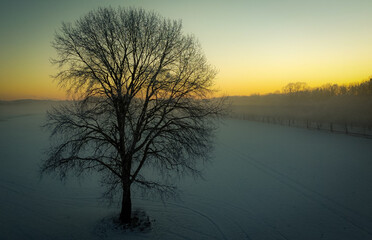sunrise on the river