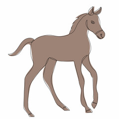 foal, sketch in isolation, vector