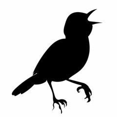 bird black silhouette isolated, vector