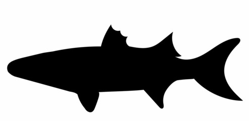 fish black silhouette isolated, vector