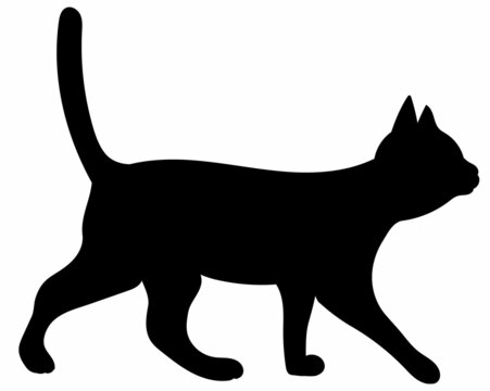 cat black silhouette  on white background