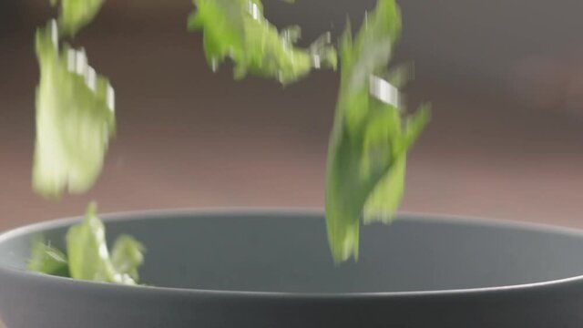 Slow motion green frisee lettuce falling into blue bowl closeup