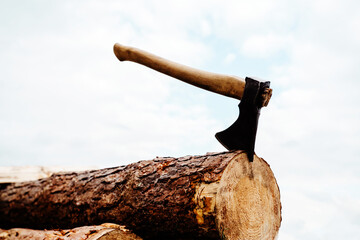 Ax on a sawn tree trunk. Log processing with hand tools. Deforestation of natural forests by...