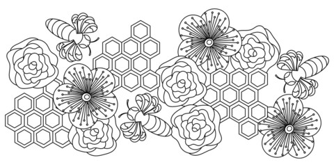 Honey Hand drawn doodle vector banner . Black and white line art illustrations. Honeycomb, flowers, bees, coloring book page