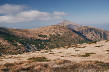 Chornogora ridge. Sunny autumn day in the mountains. Ukrainian Carpathian mountains.