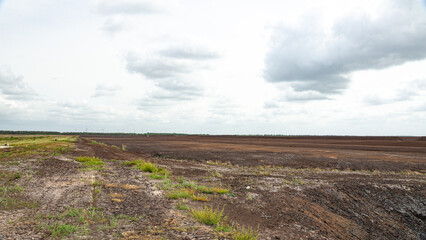 Moorlandschaft Esterweger Dose 