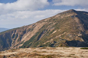 Tourists climb the mountain against the backdrop of Mount Turkul. Ukrainian Carpathian mountains.