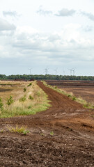 Moorlandschaft Esterweger Dose 