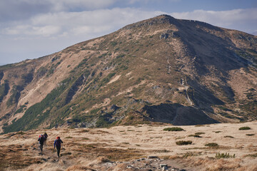 Tourists climb the mountain against the backdrop of Mount Turkul. Ukrainian Carpathian mountains.