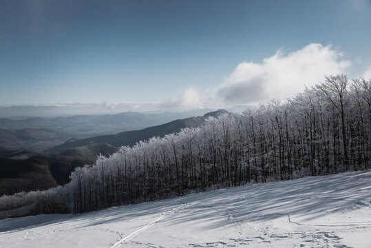 Panorama invernale