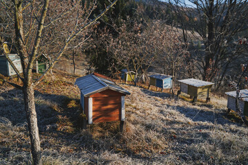 Bee hives in the village. Ukrainian Carpathian mountains. Autumn in the mountains.