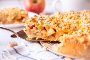 Apple pie, traditional homemade fruit cake with cinnamon
