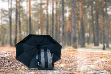 Hiking backpack with bottle of water covered with an umbrella from the rain in pine forest. Camping...