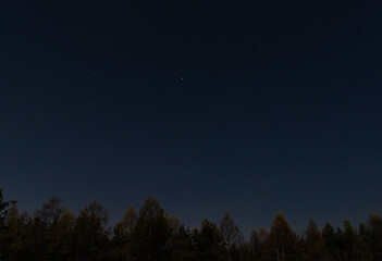 Naklejka premium Enigmatic moon light in autumn night with bright stars