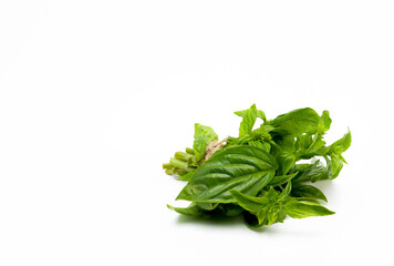 fresh leaves Basil  isolated on white background. Spice and herbs. Food ingredient	