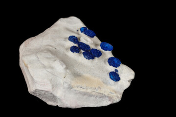 Macro mineral stone Azurite in siltstone against black background