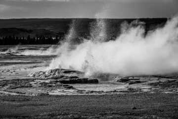 Erupting geyser with steam. Amazing landscape of the park. Fountain paint pot trail, Yellowstone National Park, Wyoming