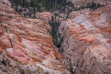 Vertical gray-orange walls in the canyon. Green pine-trees on rock slopes. Hell's Backbone Road in the wilderness area located in south-central Utah, United States.