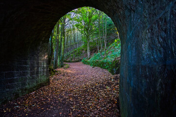 Inside a disused railway tunnel on the High Peak Trail near Wirksworth, Derbyshire.