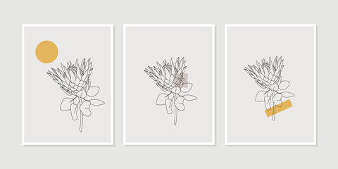 Set of minimalist botanical line art composition with Protea flower and geometric abstract elements, collage. Abstract Plant Art design for print, cover, wallpaper, Minimal and natural wall art.