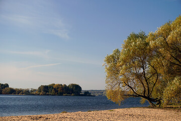 Golden autumn. Willows on the shore of the lake. Beautiful view. Prstory. Panorama. Hdri map 