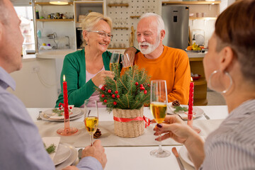 Senior couple sitting at nicely decorated table, having Christmas dinner with family or friends and making a toast, raising glasses of wine