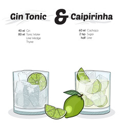 Hand Drawn Colorful Gin Tonic and Caipirinha Cocktail Drink Ingredients Recipe - obrazy, fototapety, plakaty