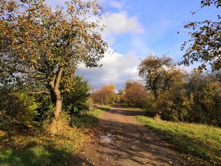 Herbst: Spaziergang in der Windlücke bei Nordhausen