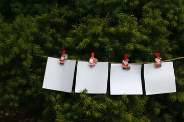 A living Christmas tree with a garland of white leaves attached with decorative clothespins. On blank sheets of paper, you can place your text, the digital number of the year.