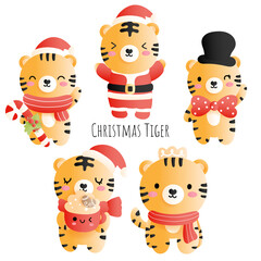 Christmas tiger, Year of the Tiger 2022