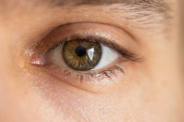 Close up of a persons hazel eye with long eyebrows and eyelashes. - obrazy, fototapety, plakaty