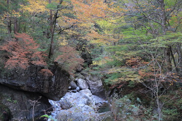 別府峡　紅葉