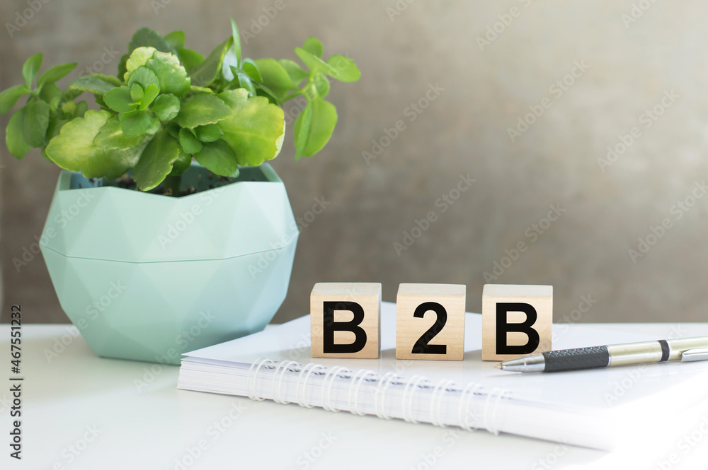 Poster wooden cubes with the letters b2b on the table next to a notebook and a flower in a pot. b2b - short