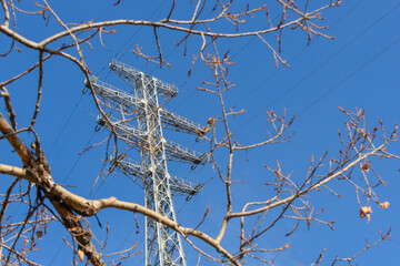 An electric tower that transmits energy, obscured by tree branches against a clear sky