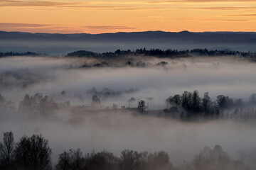 The fog is dense but the sun is cracking out. Shot in the evening from a height over Oslo city in Norway. The fog is like a blanket over the people and city.  Shot in autumn. 