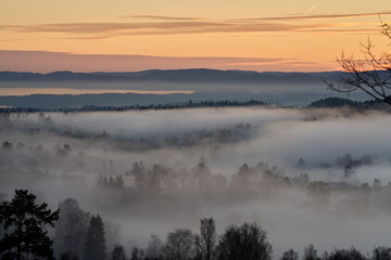 Fototapeta premium The fog is dense but the sun is cracking out. Shot in the evening from a height over Oslo city in Norway. The fog is like a blanket over the people and city. Shot in autumn. 