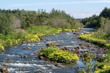 Closeup of water flowing in river during summer in park in Reykjavik Iceland