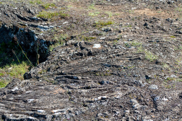 Closeup of moss covered lava rock in park in Reykjavik Iceland