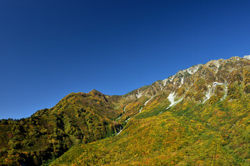 錦秋の立山黒部アルペンルート（タンボ平（黒部平＆大観峰）の絶景紅葉）