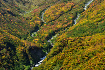 錦秋の立山黒部アルペンルート（タンボ平（黒部平＆大観峰）の絶景紅葉）