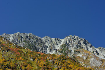 錦秋の立山黒部アルペンルート（タンボ平（黒部平＆大観峰）の絶景紅葉）