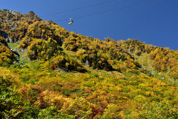 錦秋の立山黒部アルペンルート（タンボ平（黒部平＆大観峰）の絶景紅葉）