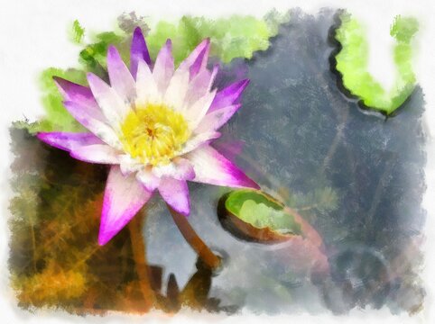 white purple lotus in the pond watercolor style illustration impressionist painting.