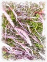 light purple grass watercolor style illustration impressionist painting.