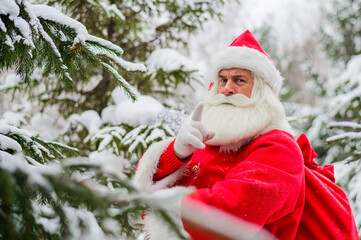 Surprised Santa Claus walks through a snowy coniferous forest at the North Pole in Lapland. Merry Christmas. Postcard.