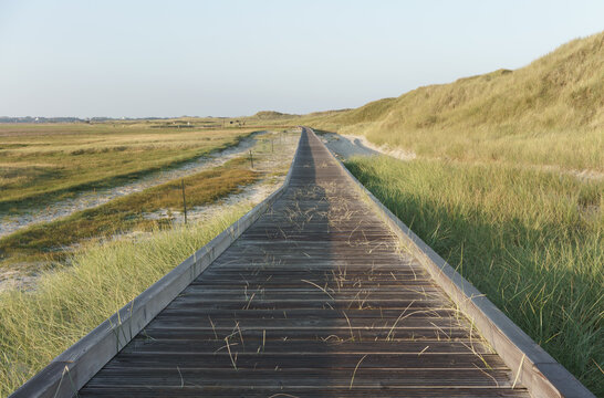 Wooden walkway in the dunes of Amrum at the North Sea