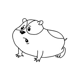 Hand drawn black vector illustration a portrait of a beautiful fan adult young hamster with big sad eyes isolated on a white background