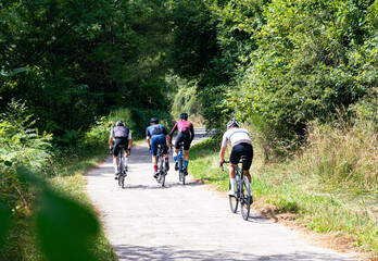 Group of cyclists going up a mountain road.