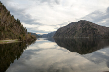 Fototapeta premium Beautiful morning view. Wild places on the Yenisei River in Siberia.