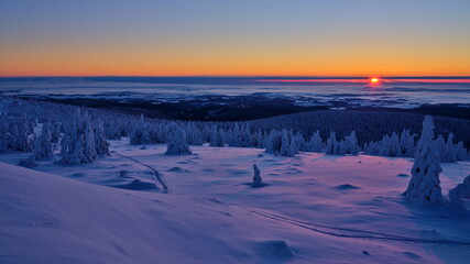 Beautiful winter mountain landscape with snowed tree at sunrise.